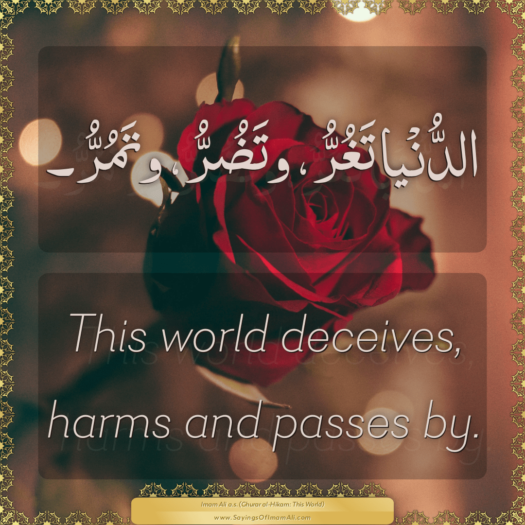 This world deceives, harms and passes by.